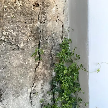 Casa No45 * Montejaque